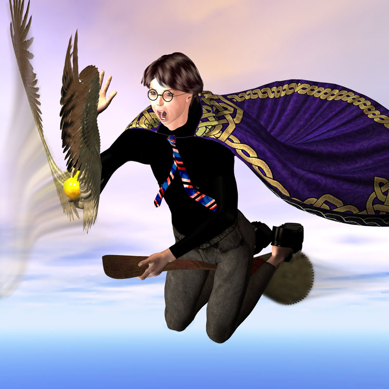 Quidditch!?